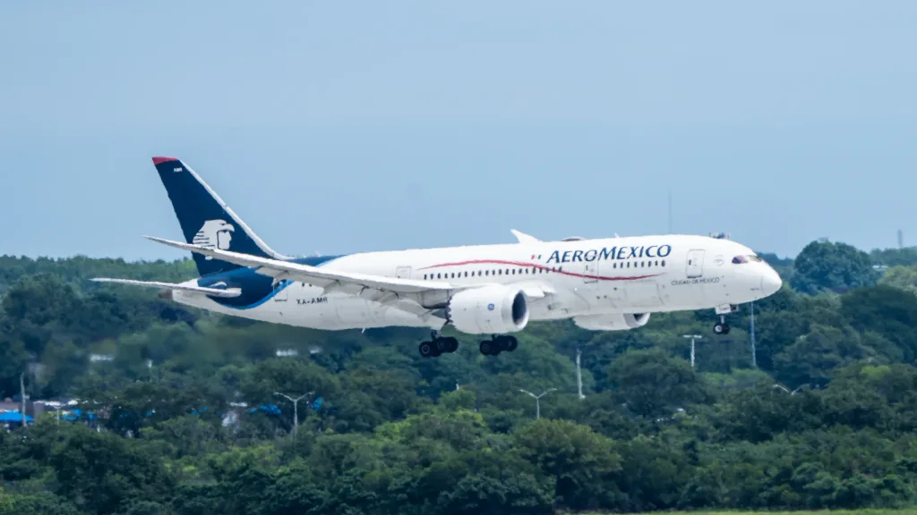 XA-AMR · Boeing 787-8 at John F. Kennedy International Airport (photo 1 of 2)