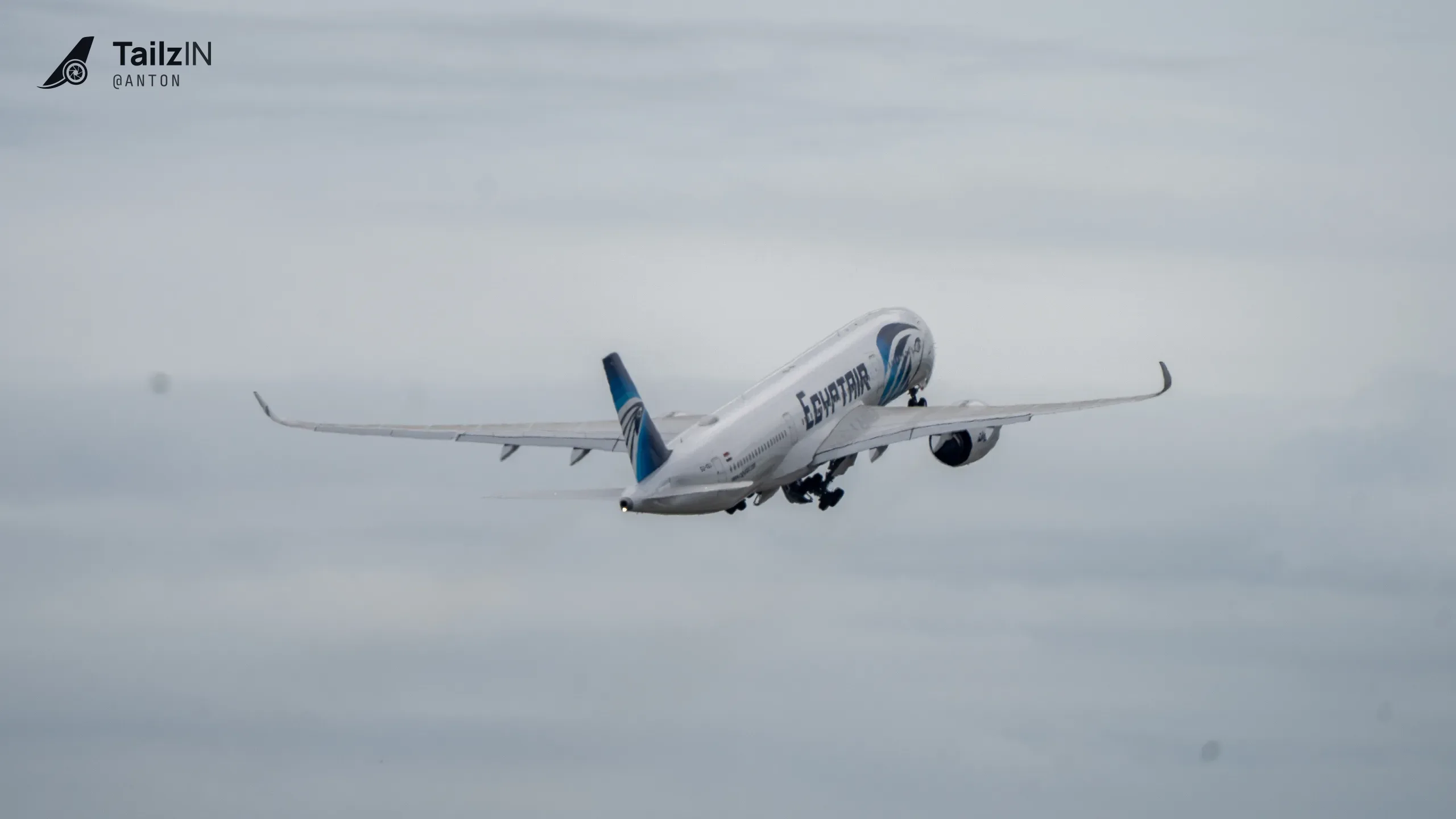 SU-GGJ · Airbus A350-900 at John F. Kennedy International Airport (photo 3 of 3)